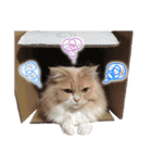 るるべる（個別スタンプ：18）