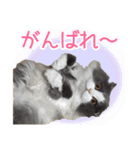 るるべる（個別スタンプ：20）