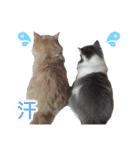 るるべる（個別スタンプ：23）