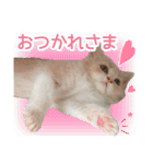 るるべる（個別スタンプ：24）