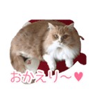 るるべる（個別スタンプ：25）