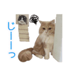 るるべる（個別スタンプ：29）
