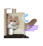 るるべる（個別スタンプ：30）