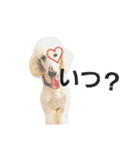 スタンダードプードルみちゅ♡((挨拶ver.))（個別スタンプ：14）
