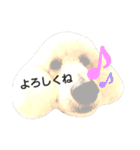 スタンダードプードルみちゅ♡((挨拶ver.))（個別スタンプ：15）