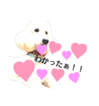 スタンダードプードルみちゅ♡((挨拶ver.))（個別スタンプ：18）