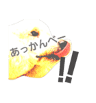 スタンダードプードルみちゅ♡((挨拶ver.))（個別スタンプ：21）