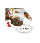 はるまる第2弾（個別スタンプ：5）