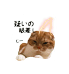 はるまる第2弾（個別スタンプ：6）