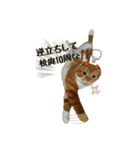 はるまる第2弾（個別スタンプ：7）