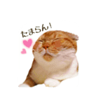 はるまる第2弾（個別スタンプ：11）