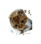 はるまる第2弾（個別スタンプ：12）