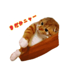 はるまる第2弾（個別スタンプ：13）