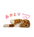 はるまる第2弾（個別スタンプ：14）