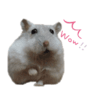 ハムスターはなまるさんのはなまる日和 2（個別スタンプ：32）