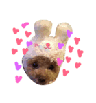 バニちゃん①（個別スタンプ：5）