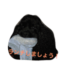 のあ桜(コッカー)+える（個別スタンプ：21）