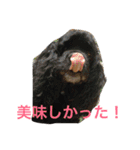 のあ桜(コッカー)+える（個別スタンプ：26）