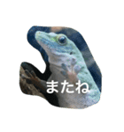 動物語り（個別スタンプ：2）