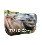 動物語り（個別スタンプ：3）