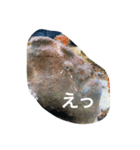 動物語り（個別スタンプ：6）