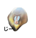 動物語り（個別スタンプ：8）