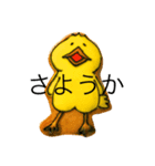 気ままにbird（個別スタンプ：13）