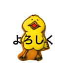 気ままにbird（個別スタンプ：16）