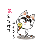 オリにゃん その4（個別スタンプ：13）