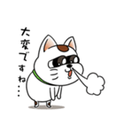 オリにゃん その4（個別スタンプ：15）