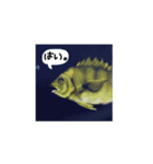 じぶん、魚刺身と言います。（個別スタンプ：2）