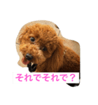 熱海生まれブラン姫（個別スタンプ：2）