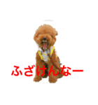 トイプードルジルのお返事（個別スタンプ：5）