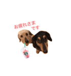 マタチャン（個別スタンプ：2）