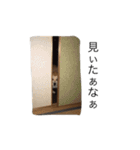 ポメです（個別スタンプ：22）