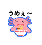 ほんわか＆ラブリー！！ウーパールーパー（個別スタンプ：5）