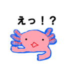 ほんわか＆ラブリー！！ウーパールーパー（個別スタンプ：10）