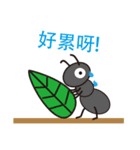 insect world（個別スタンプ：5）