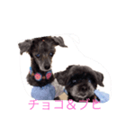 うちの家族inNA（個別スタンプ：2）