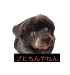 うちの家族inNA（個別スタンプ：3）