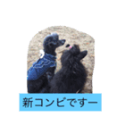 うちの家族inNA（個別スタンプ：4）