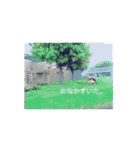 わたしの写真。（個別スタンプ：10）