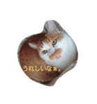 おたぷる1（個別スタンプ：15）