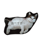 おたぷる1（個別スタンプ：16）