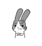 Rabbit kk（個別スタンプ：2）