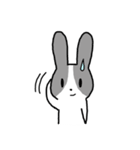 Rabbit kk（個別スタンプ：12）