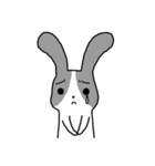 Rabbit kk（個別スタンプ：19）