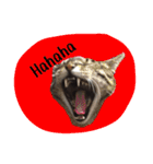 猫ねこcat2（個別スタンプ：5）
