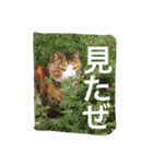 ねこポンチ（個別スタンプ：6）
