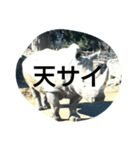 THE・サイ（個別スタンプ：1）